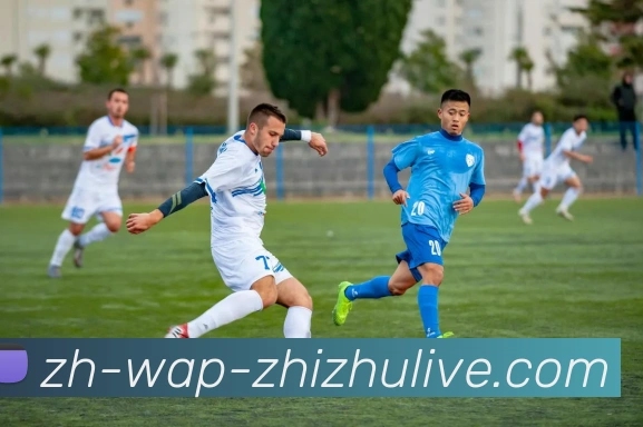 蜘蛛直播品牌故事