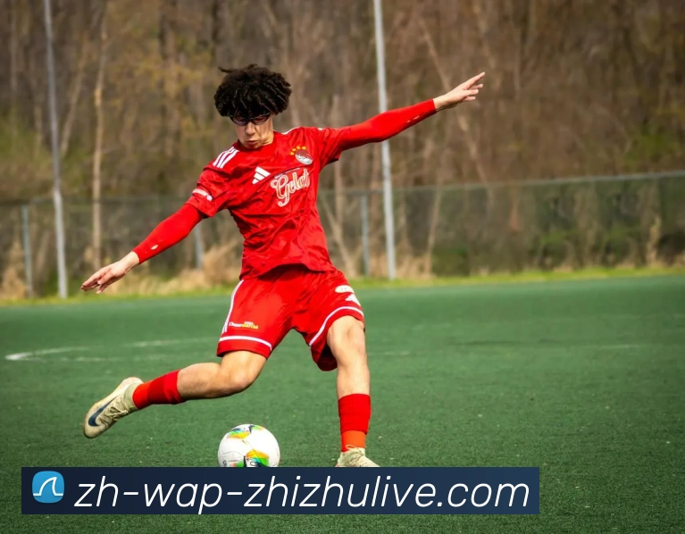 蜘蛛直播服务体系