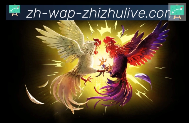 App界面